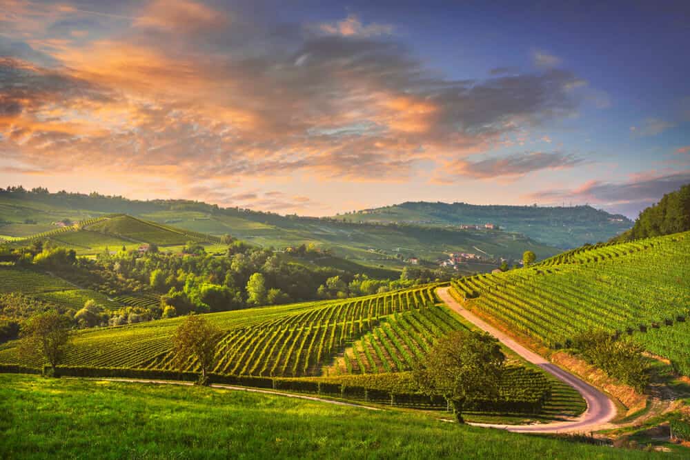 Esplorare le Langhe: luoghi d’interesse, percorsi e cantine da scoprire