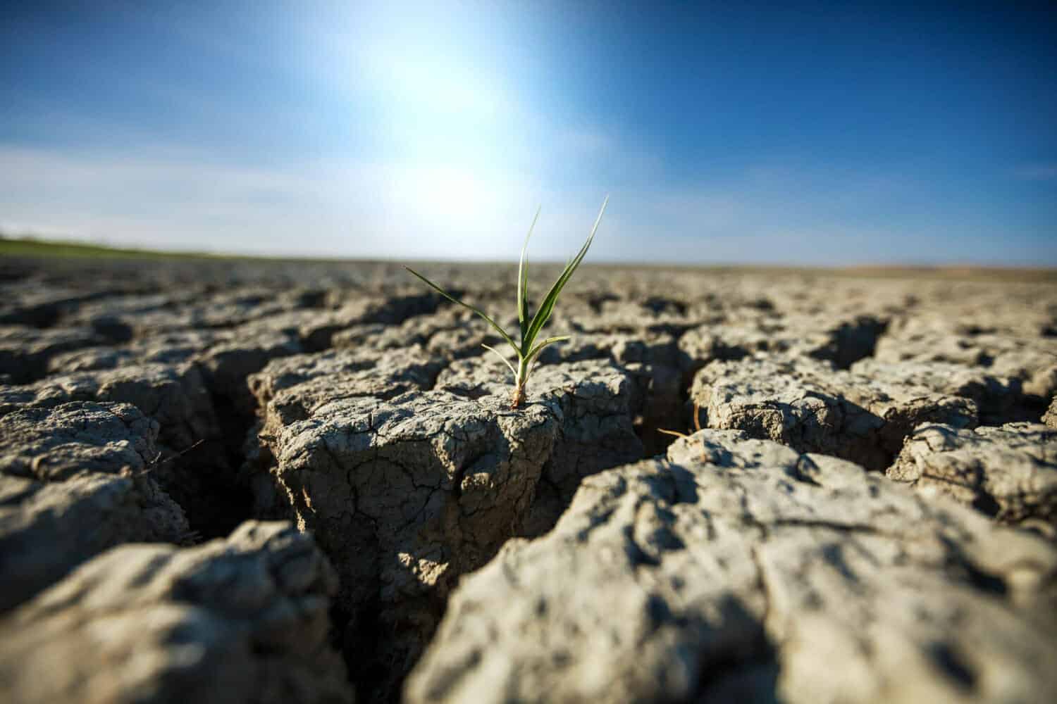 Spagna-dopo le piogge torrenziali-le riserve idriche continuano a scarseggiare