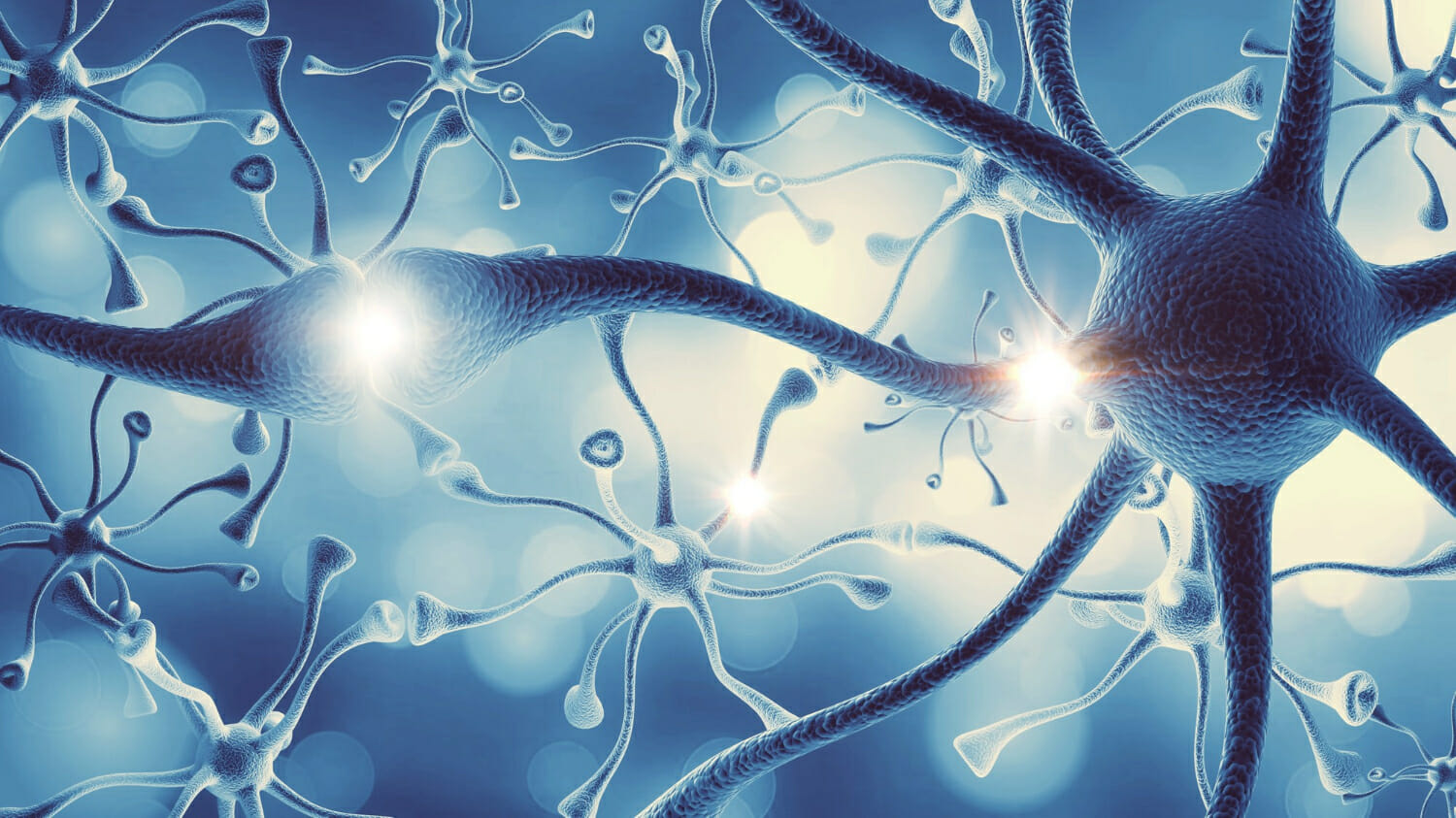 Scoperta rivoluzionaria in neurologia: individuato un nuovo metodo per rigenerare la mielina