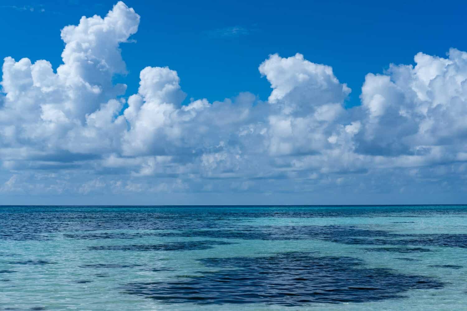 Avviso meteo-la NOAA prevede un “forte evento El Niño” nei prossimi mesi