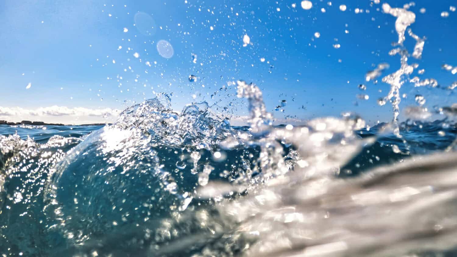 Onde di calore marine: un fenomeno più intenso sott’acqua