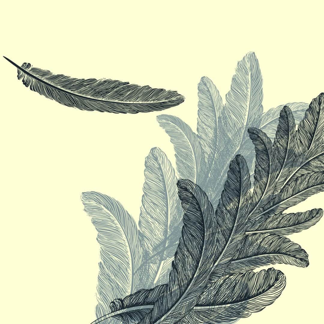 Scoperta di nuove somiglianze tra dinosauri e uccelli attraverso l’analisi di piume fossili