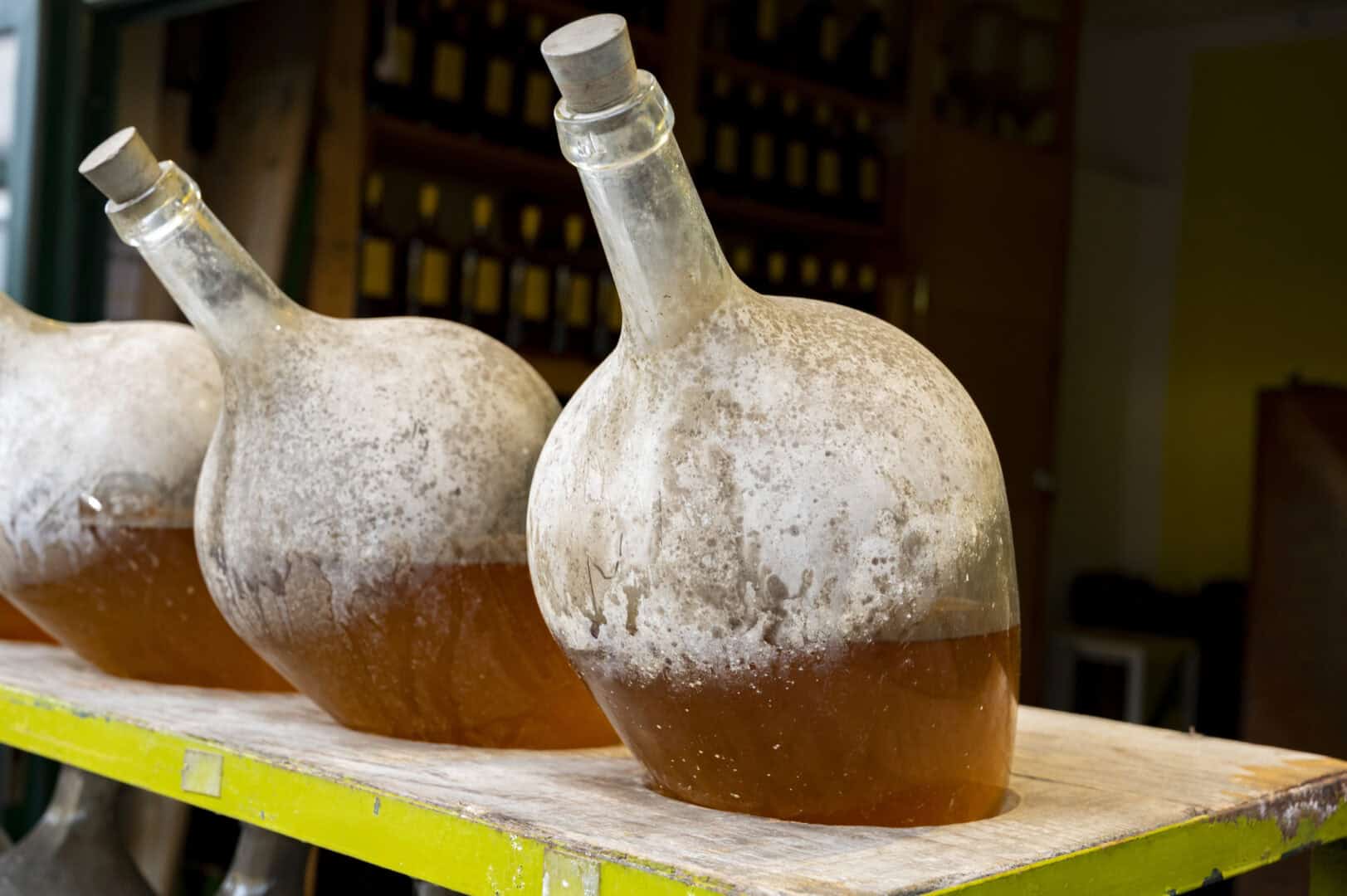 Vienna: un tesoro di prodotti tipici oltre al vino
