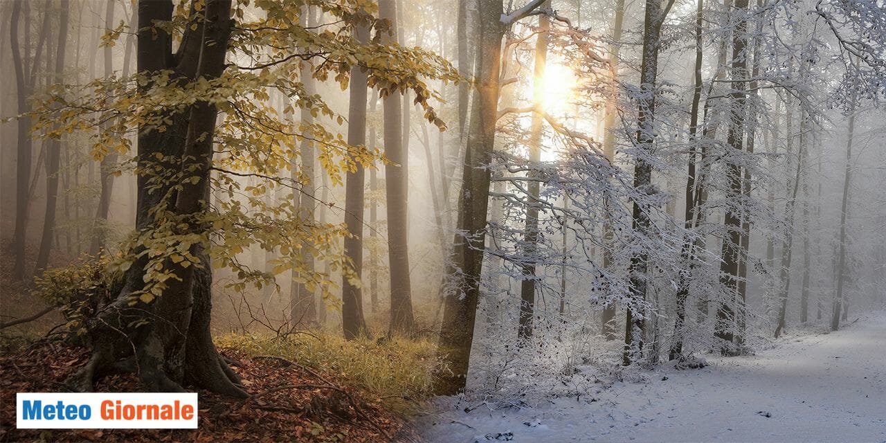 Autunno, quanto manchi! E se venisse subito inverno? 39 Autunno, quanto manchi! E se venisse subito inverno?