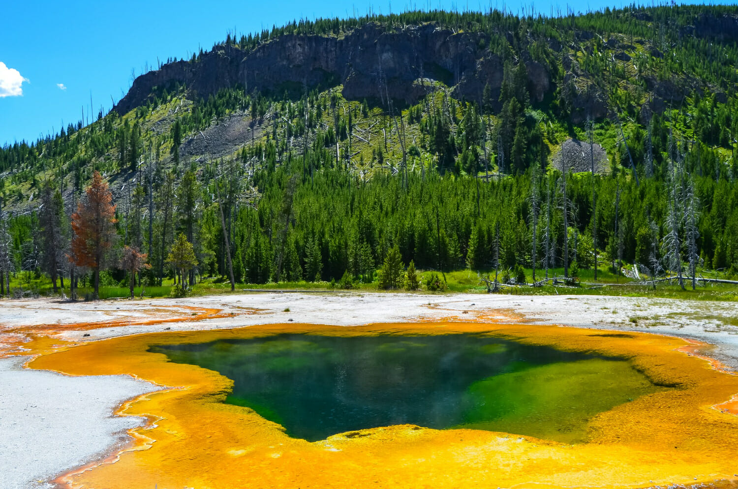 Utilizzo di immagini satellitari commerciali ad alta risoluzione per mappare e monitorare le aree termali di Yellowstone