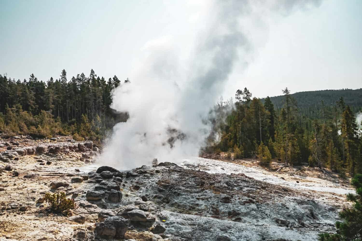 Utilizzo di immagini satellitari commerciali ad alta risoluzione per monitorare le aree termali di Yellowstone