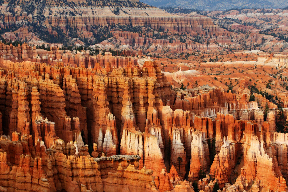 Esplora la Grande Natura con le Fotografie dei Parchi Nazionali USA