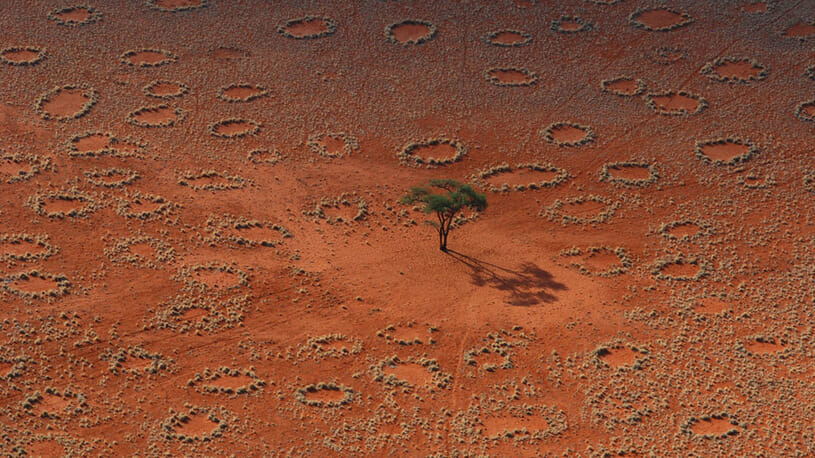 Scienziati scoprono misteriosi “cerchi delle fate” in centinaia di luoghi nel mondo