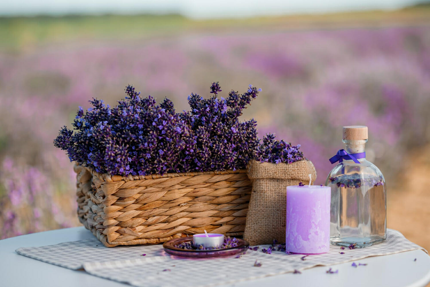 I misteri della lavanda nella regione della Provenza
