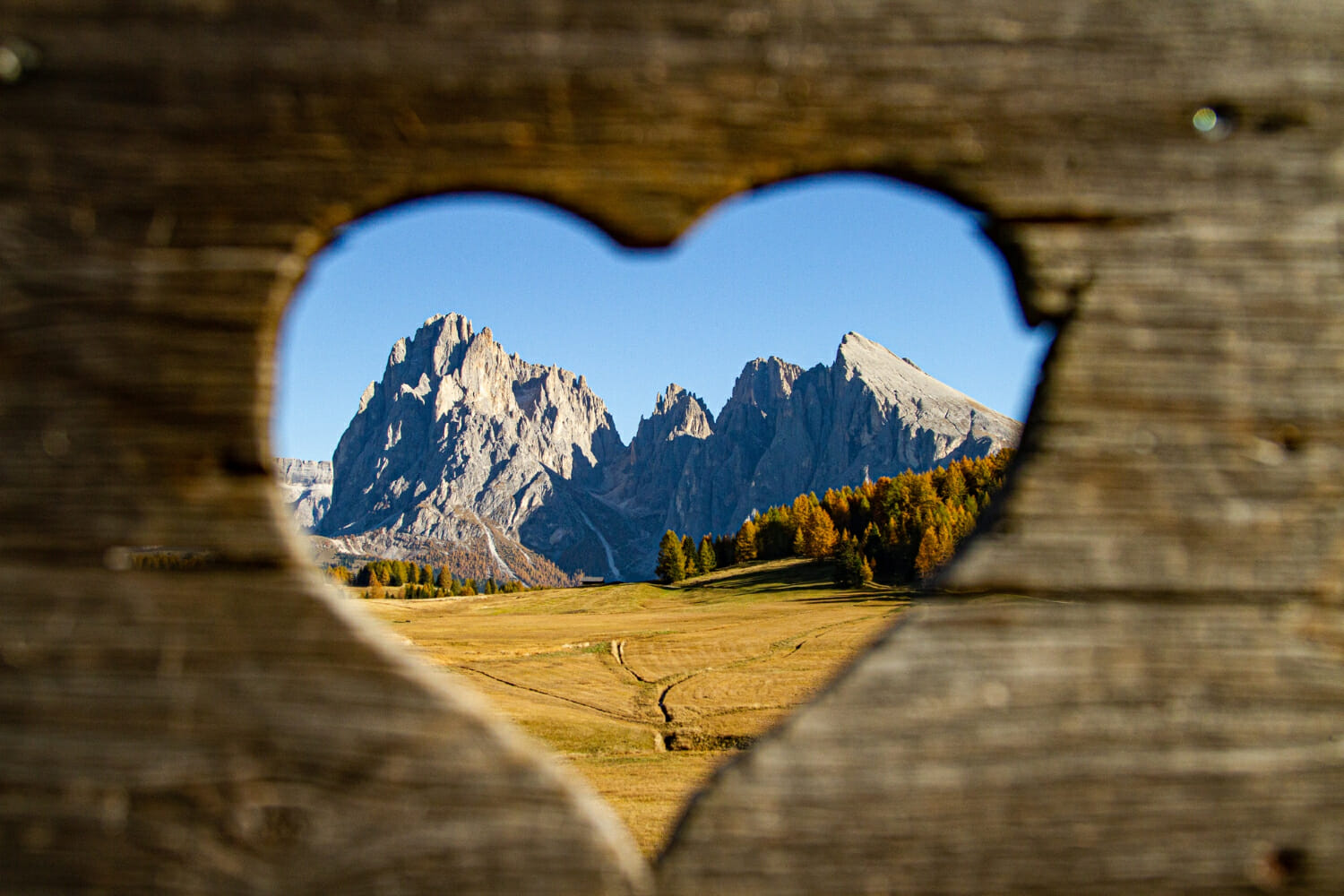 Rilassati in Trentino: Quattro stabilimenti termali per una pausa rigenerante