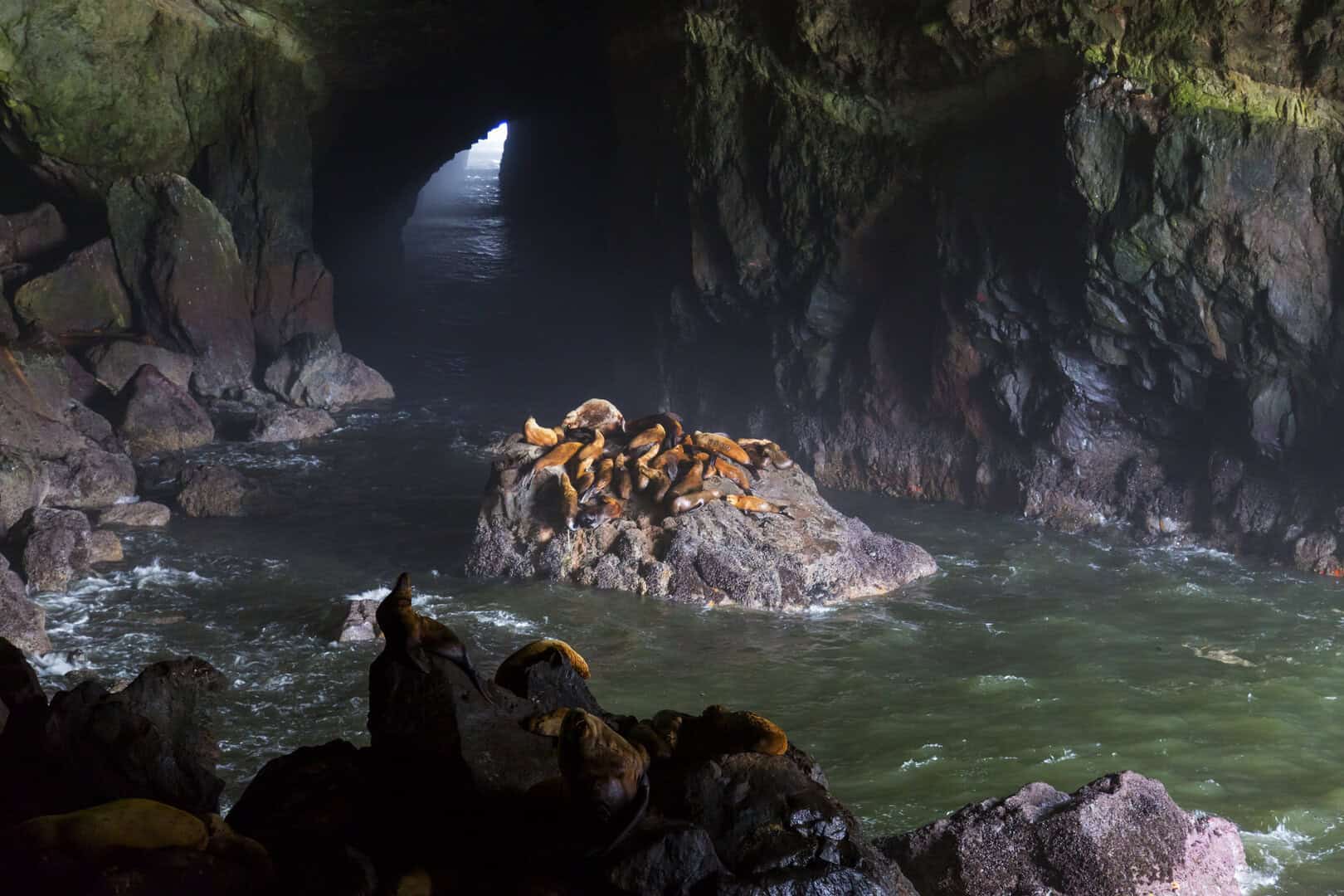 Manipolati: la storia dei resti umani antichi nelle grotte spagnole