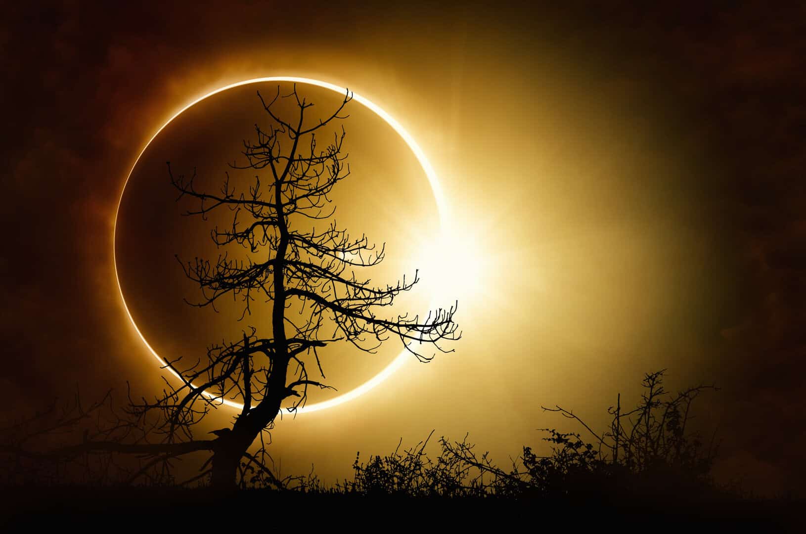 Astronomi catturano prime immagini radio di Eclissi Solare ad anello di fuoco
