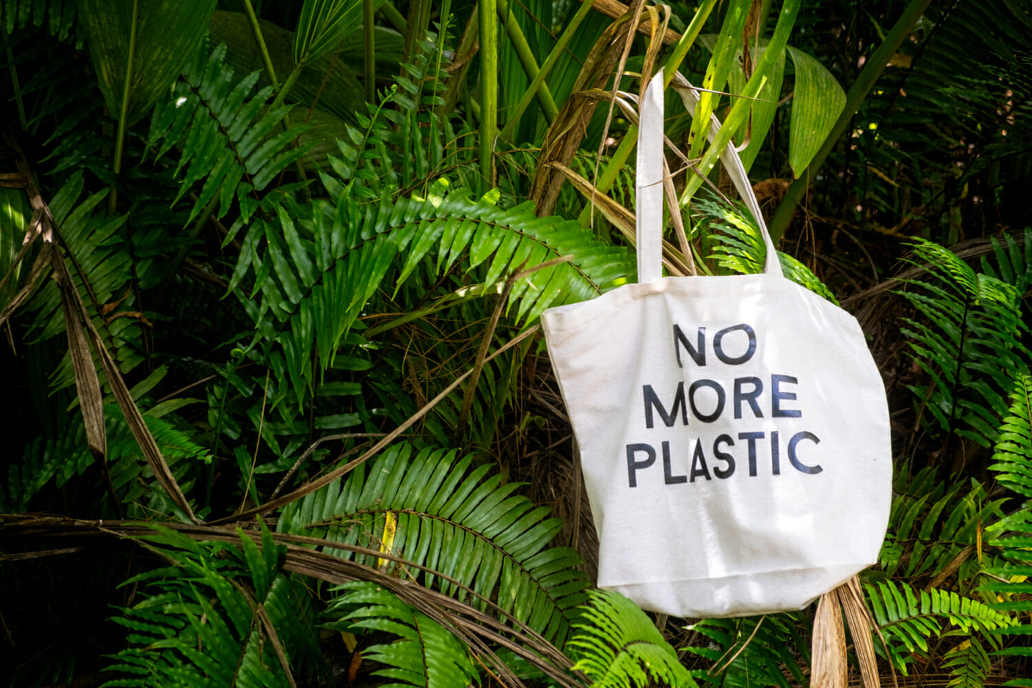Sacchetti di plastica biodegradabili nei supermercati: una truffa ecologica per il consumatore?