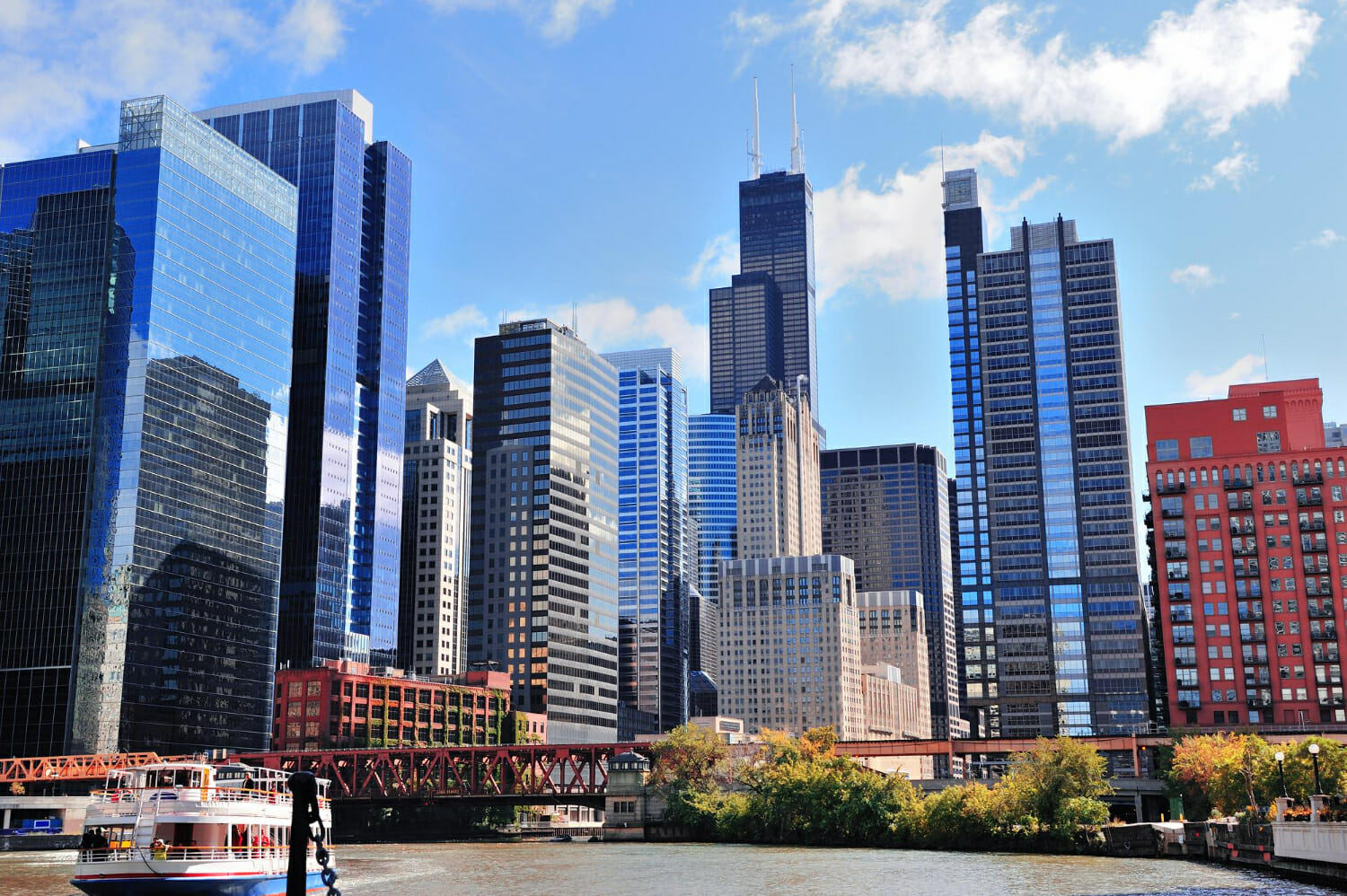 Migliaia di uccelli muoiono schiantandosi contro i grattacieli di Chicago