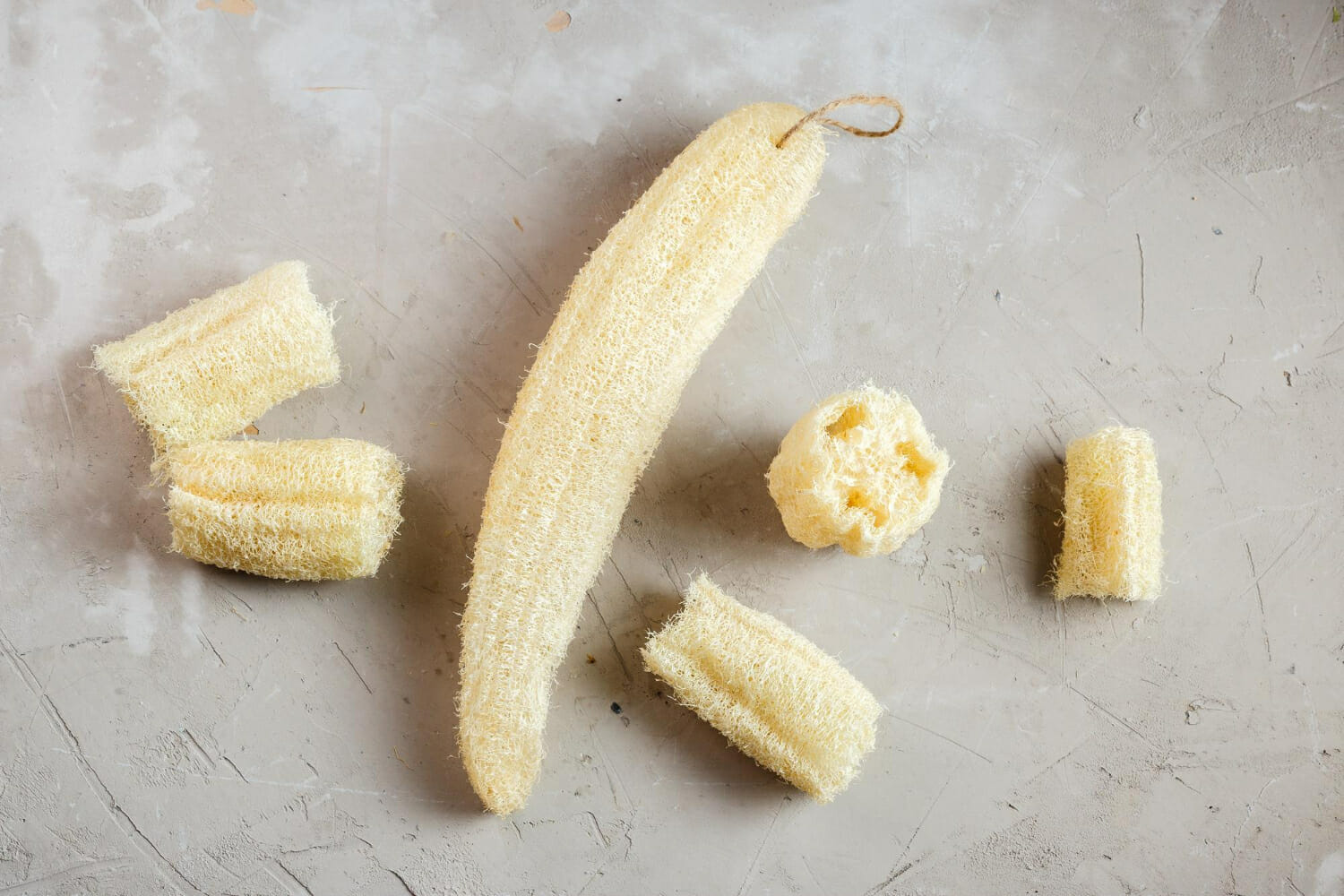 Da una zucca si può produrre elettricità