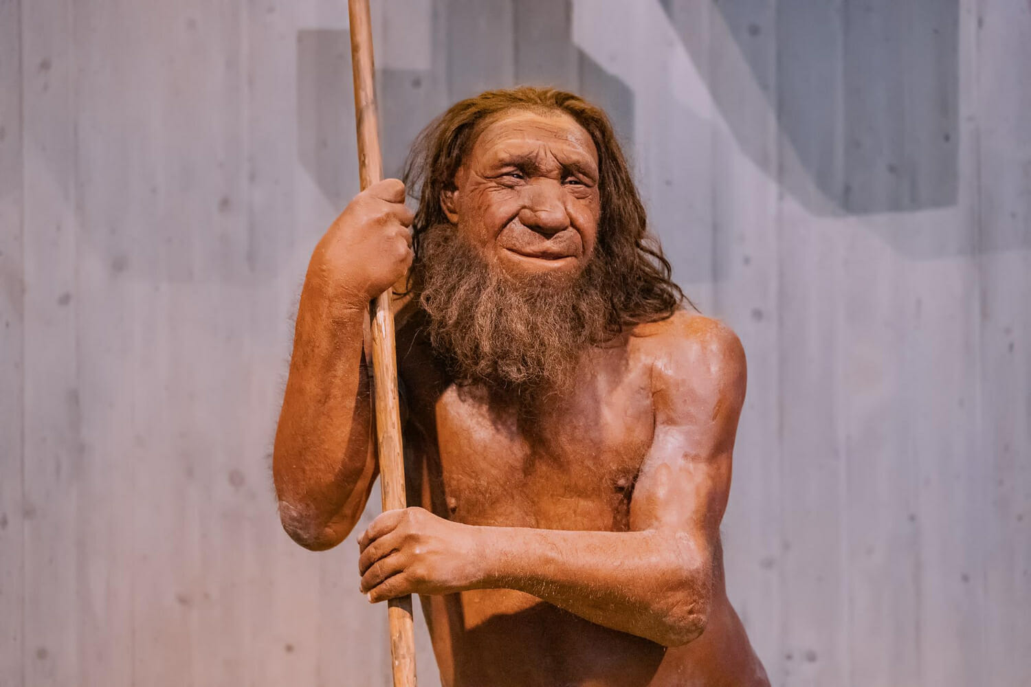 Scoperta costruzione in legno di 500 mila anni fa: non è stato l’Homo Sapiens