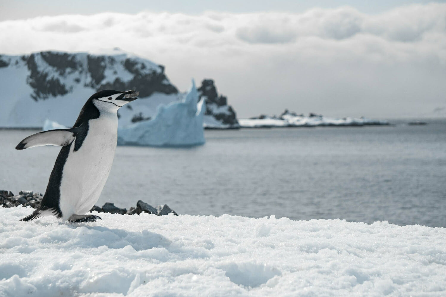 Verifica della stabilità del mantello glaciale dell’Antartide occidentale