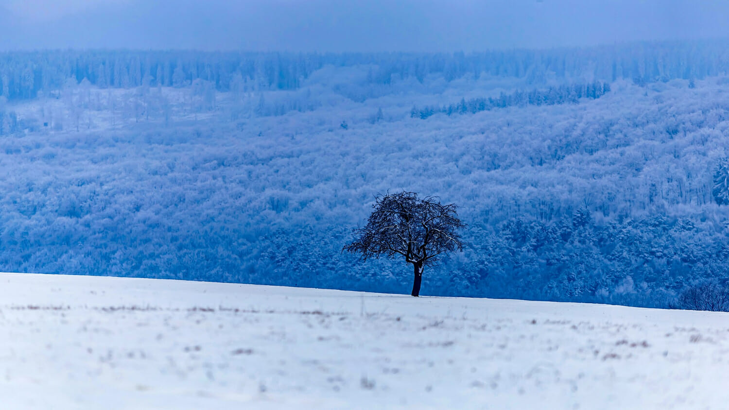 Prevista una drastica inversione meteo in Germania