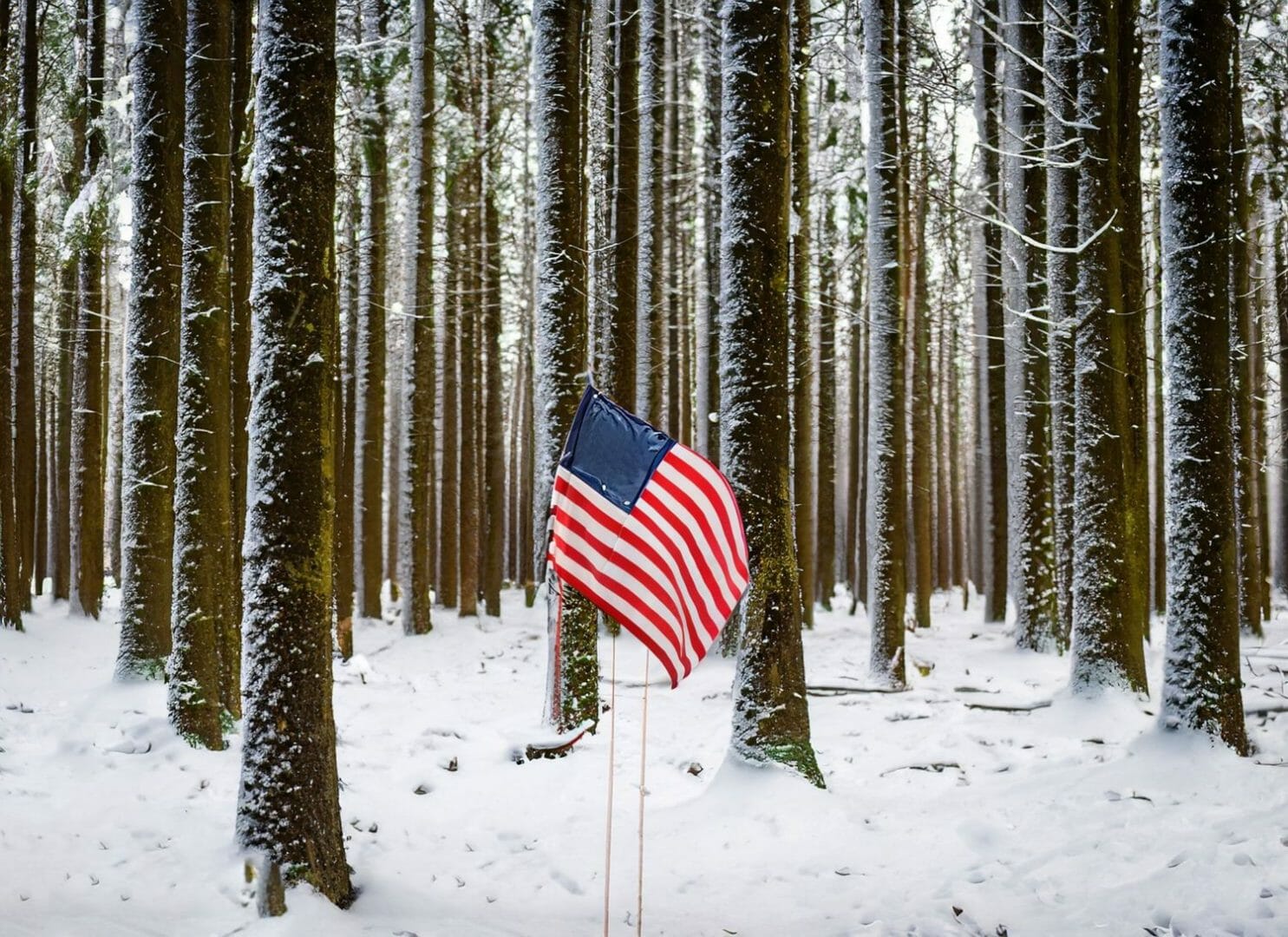 Milioni di americani a rischio per la forte tempesta con neve, piogge torrenziali e forti venti