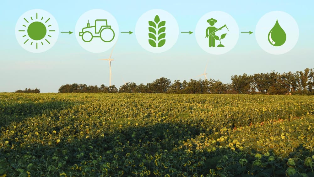 I piani dell’ONU per un futuro sostenibile dell’agricoltura nell’era del cambiamento climatico