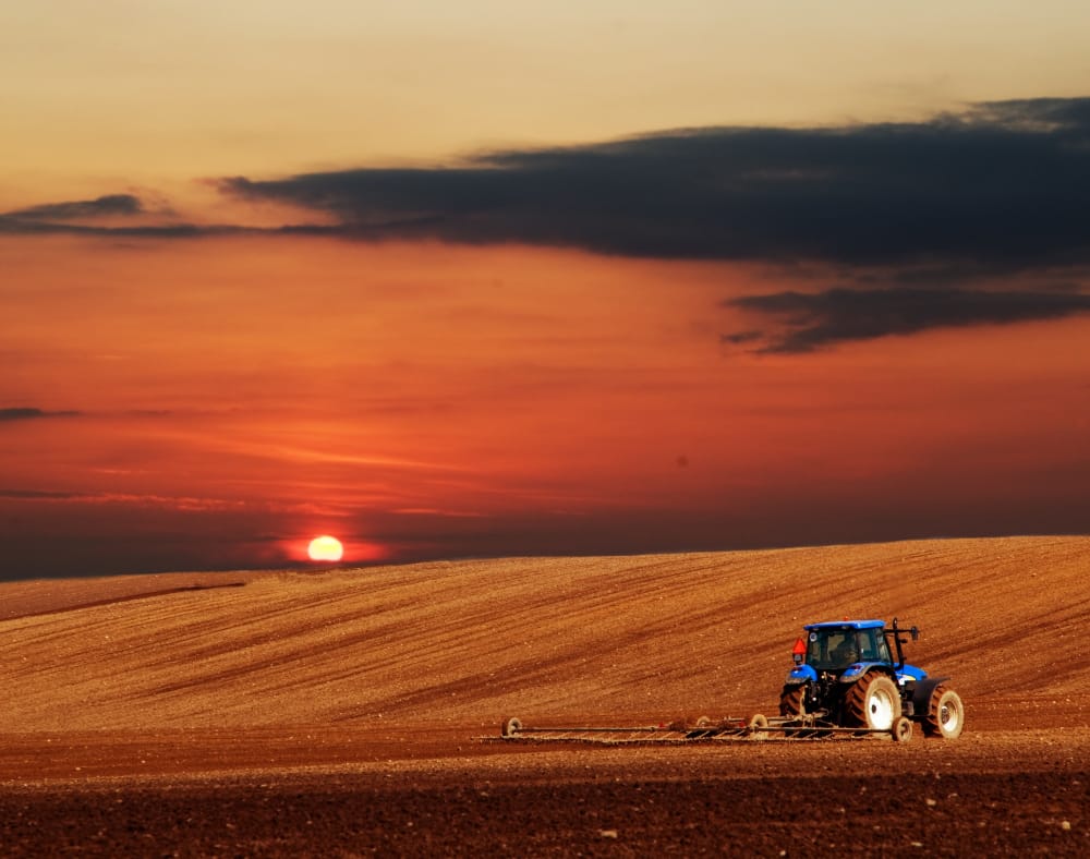 Come il cambiamento climatico minaccia l’agricoltura globale