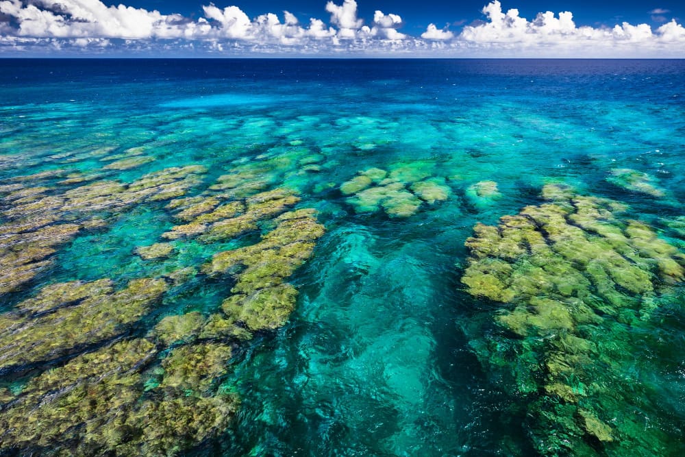 Il cambiamento climatico minaccia un quarto delle isole coralline australiane