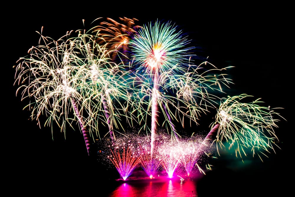 Perché gli uccelli odiano il capodanno: l’effetto shock dei fuochi d’artificio