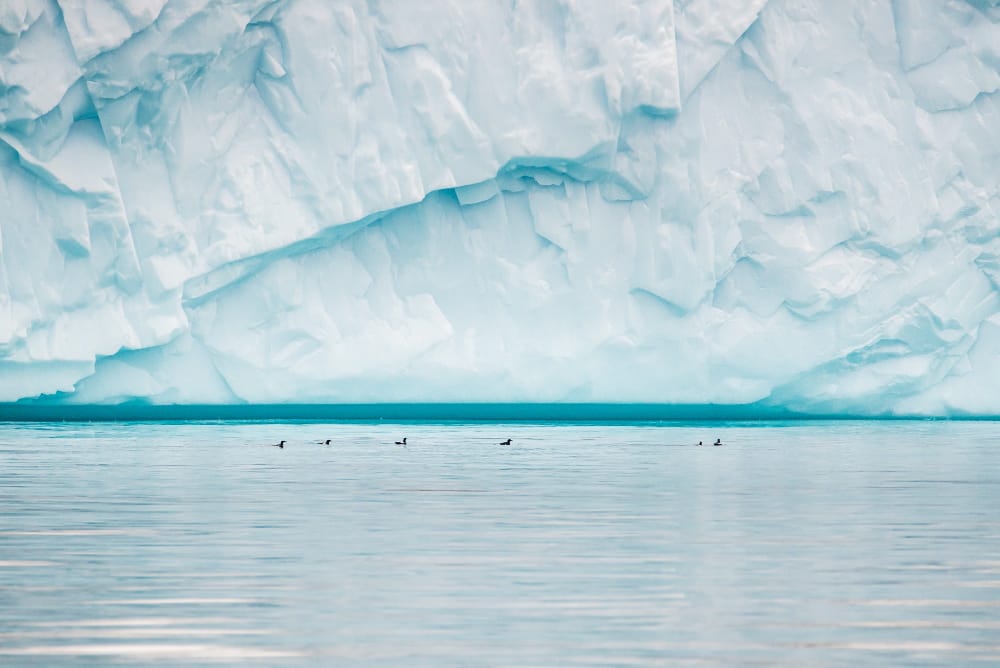 bella vista del massiccio iceberg nella baia di disko groenlandia
