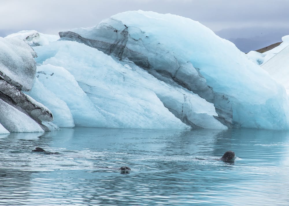 Il gigante si sveglia: il più grande iceberg del mondo inizia a muoversi