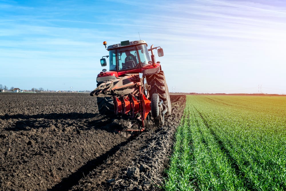 Come il cambiamento climatico minaccia l’agricoltura globale