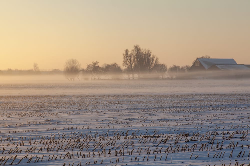 Prime nevicate ieri sulla Langa Astigiana