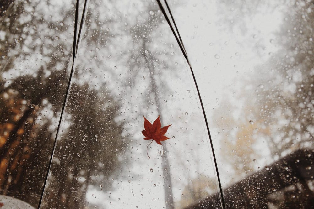 Gli eventi meteo dell’anno in Canada: dai furiosi incendi all’estate rovente