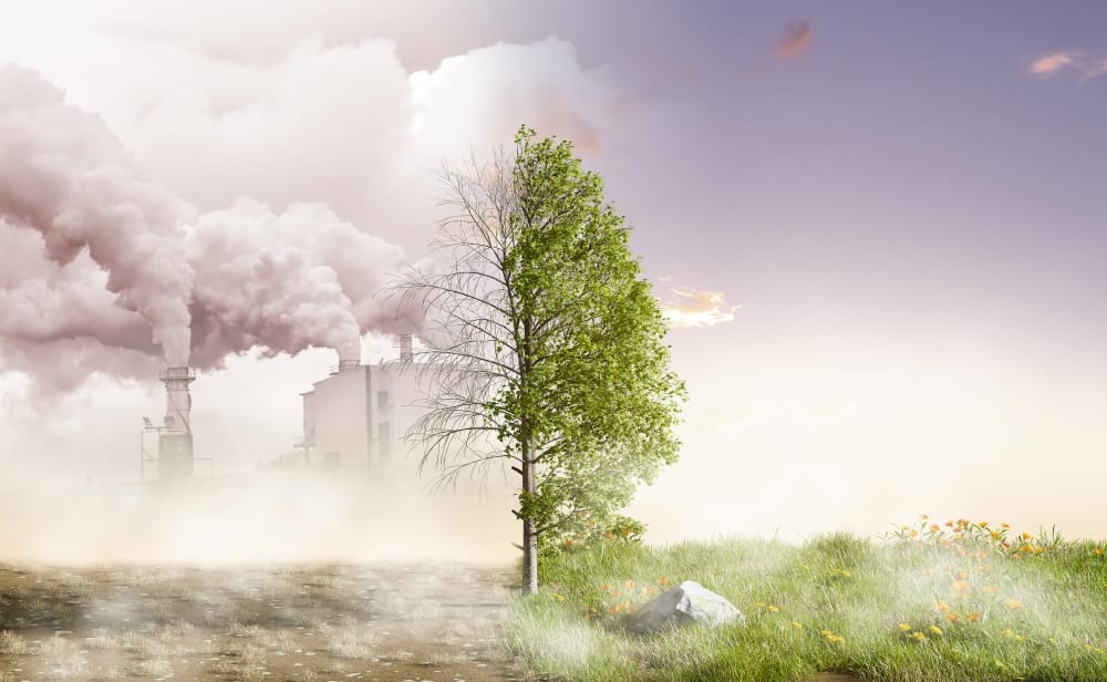 Il presidente della COP28 nega le verità fondamentali del cambiamento climatico