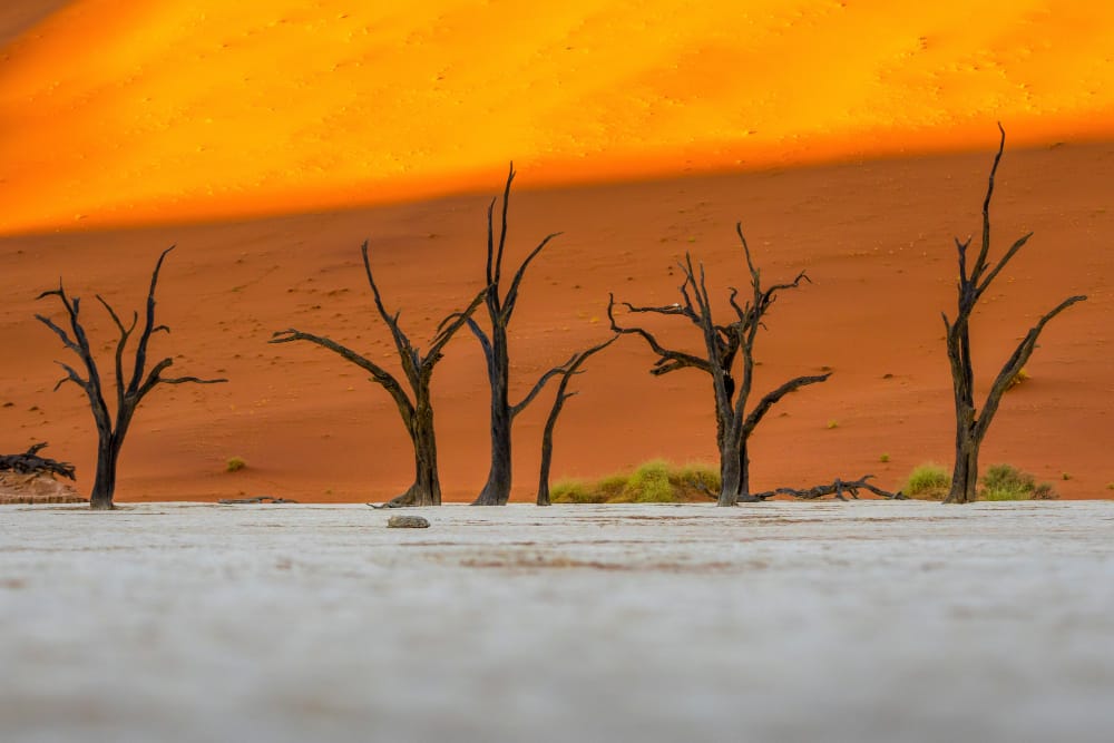 Cambiamenti Climatici: l’Africa è il Continente più Esposto agli Effetti del Riscaldamento Globale