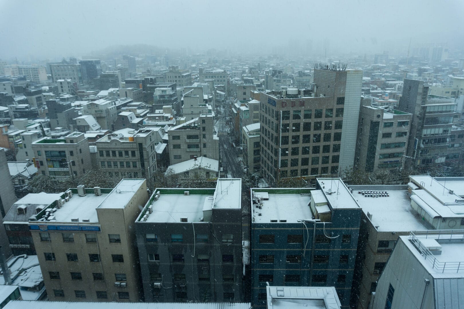 Meteo, la neve dei 50 anni si abbatte in Corea, a Seoul. Allerta per ulteriori tempeste