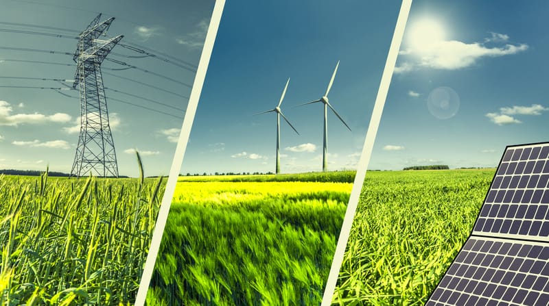 Luce tra la rovina: un anno di buone notizie sul cambiamento climatico