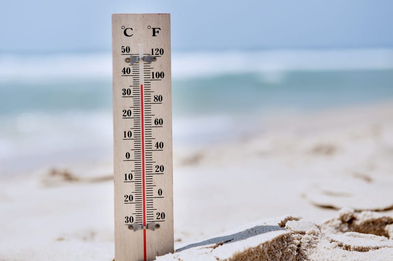 Includere il controllo della popolazione per mitigare il cambiamento climatico