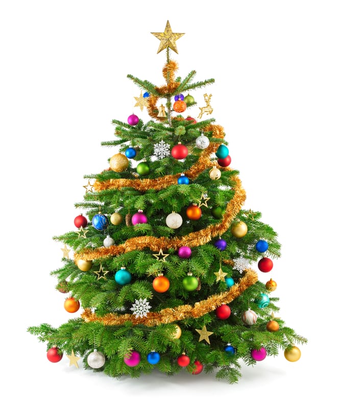 Il clima si riscalda e l’albero di Natale perfetto dipende dalla capacità di adattamento dei coltivatori