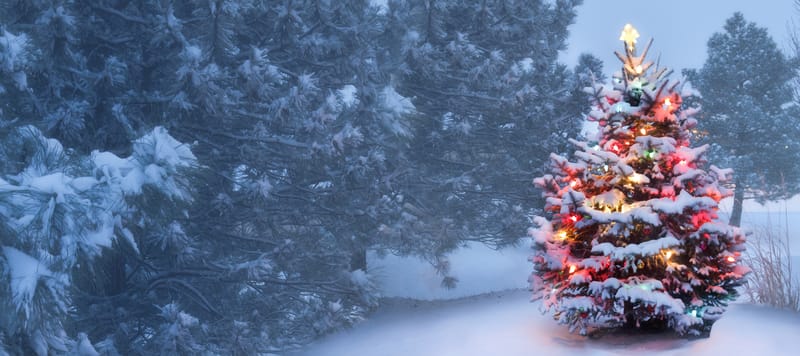 Sogni di un Natale bianco sempre più deboli a causa del cambiamento climatico