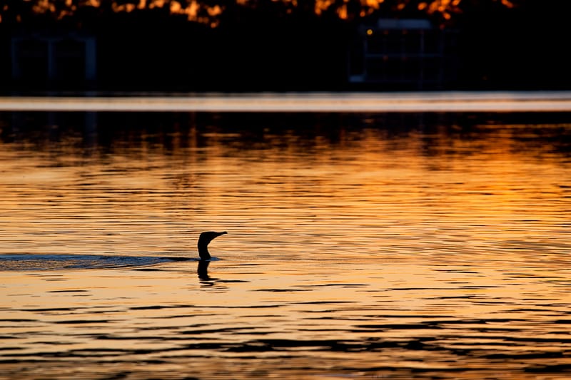 Cambiamento climatico: invertire l’impatto della scomparsa dell’acqua superficiale