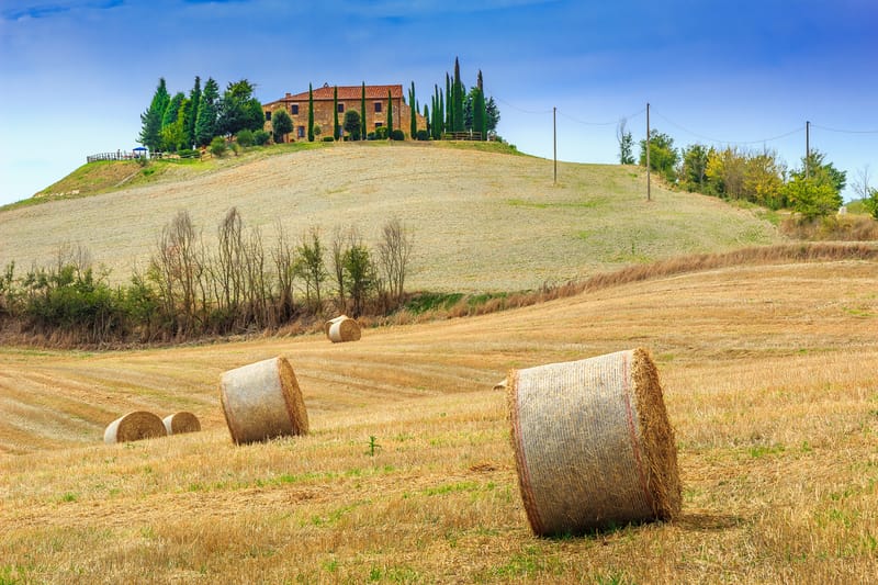 Previsione dell’impatto del cambiamento climatico sulla produzione futura di fieno