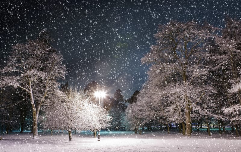 Neve al parco: un’opportunità per divertimento e socializzazione