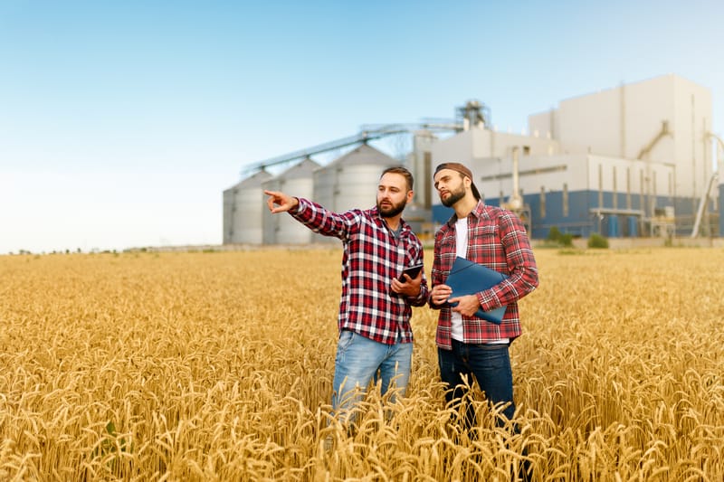 Impatto del cambiamento climatico sulla produzione agricola