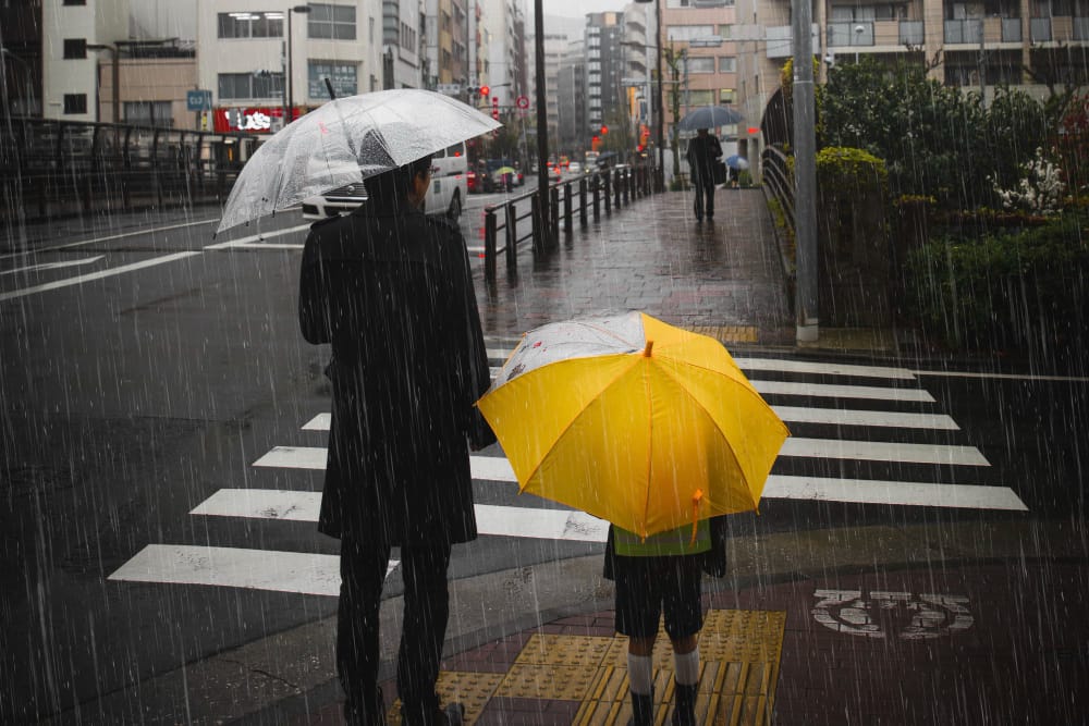 Allerta Meteo: Venti di Burrasca Previsti nelle Prossime Ore
