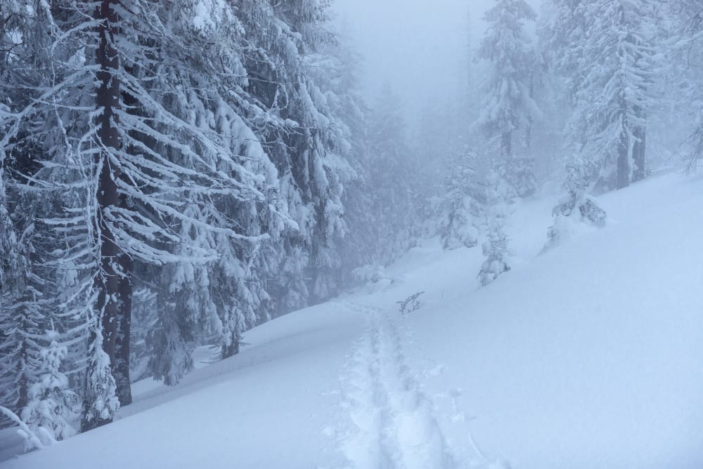 Previsioni del vortice polare: un’incognita secondo gli esperti | Ultime notizie meteo