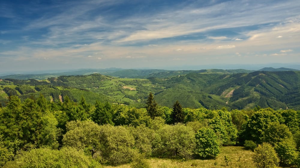 Il cambiamento climatico trasformerà foreste e montagne italiane