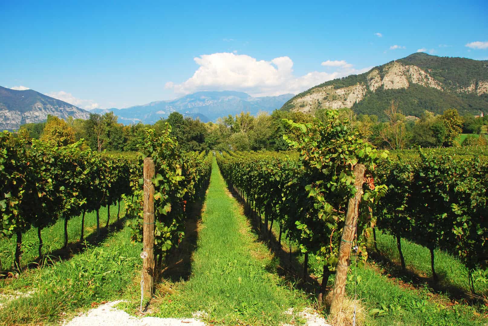 La Franciacorta: un viaggio tra ⁤borghi medievali, vigneti e paesaggi incantevoli