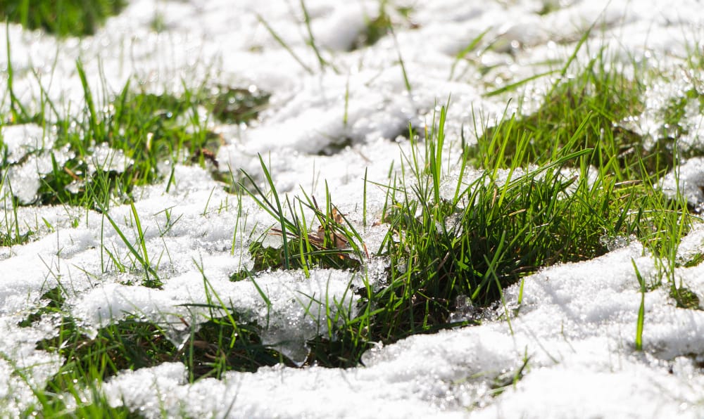 Dove cade più neve in Italia?