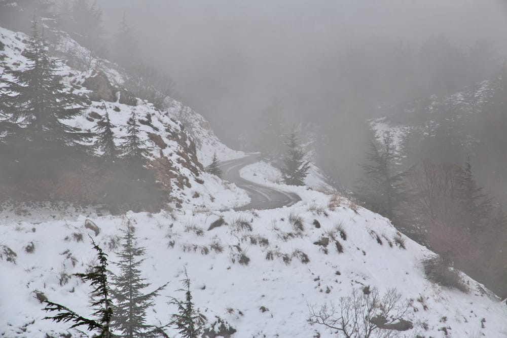 Neve Ricopre la Toscana, Appennino Bianco da Abetone a Garfagnana