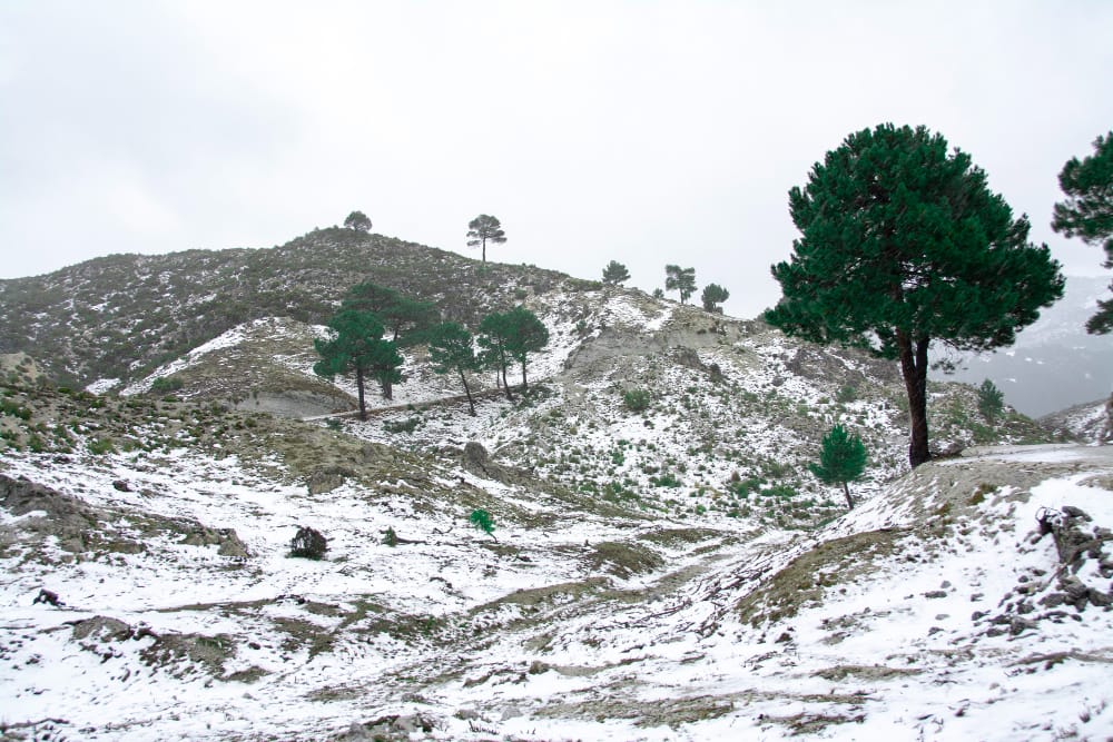Maltempo colpisce il centro-sud con nevicate fino alle colline